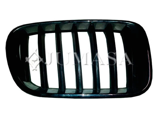 Radiator Grille