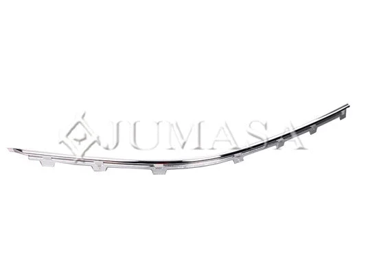 Trim/Protection Strip, bumper