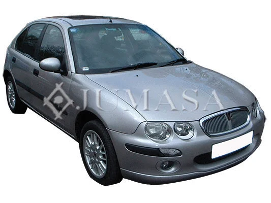 Exterior Mirror (54510308)