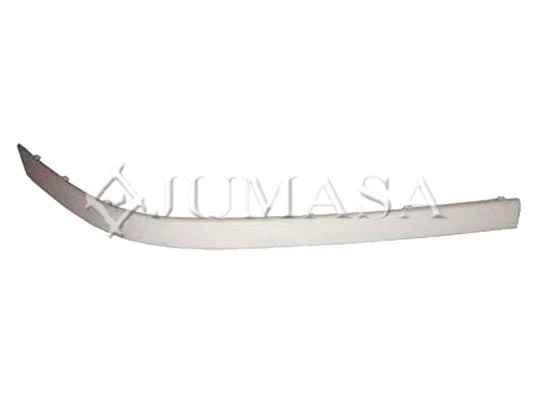 Trim/Protection Strip, bumper