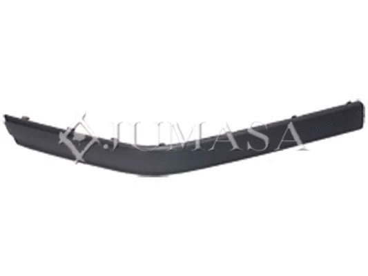 Trim/Protection Strip, bumper