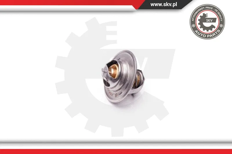Thermostat, coolant
