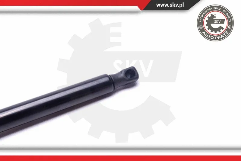 Gas Spring, boot/cargo area