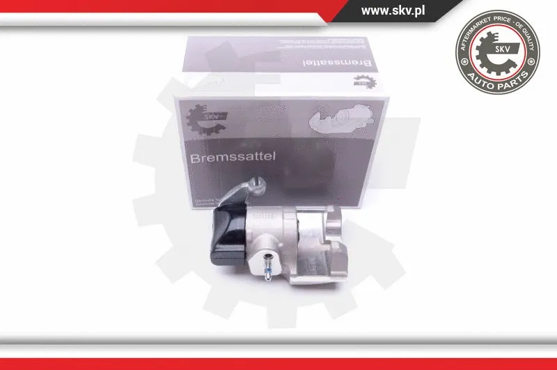 Brake Caliper (45SKV873)