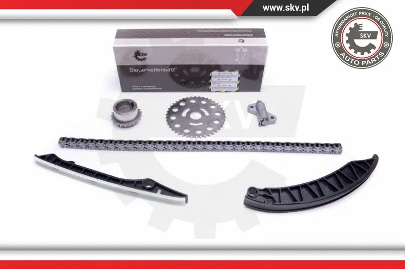 Timing Chain Kit (21SKV173)