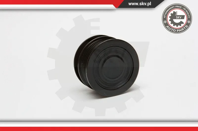 Alternator Freewheel Clutch