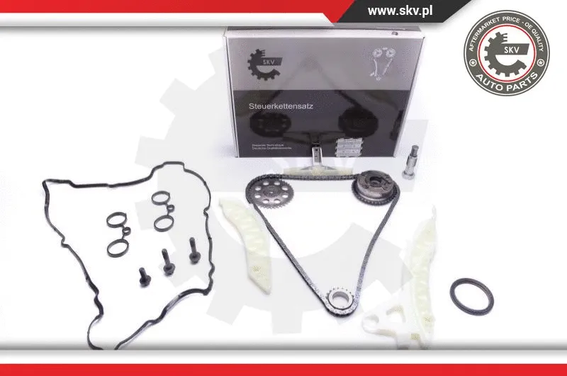 Timing Chain Kit (21SKV112)