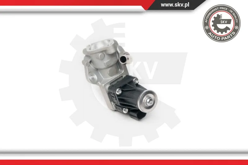 EGR Valve
