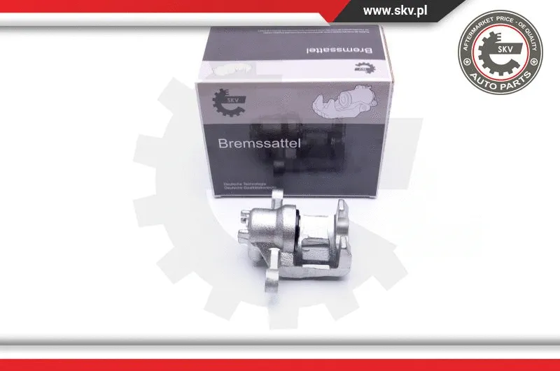 Brake Caliper (42SKV564)