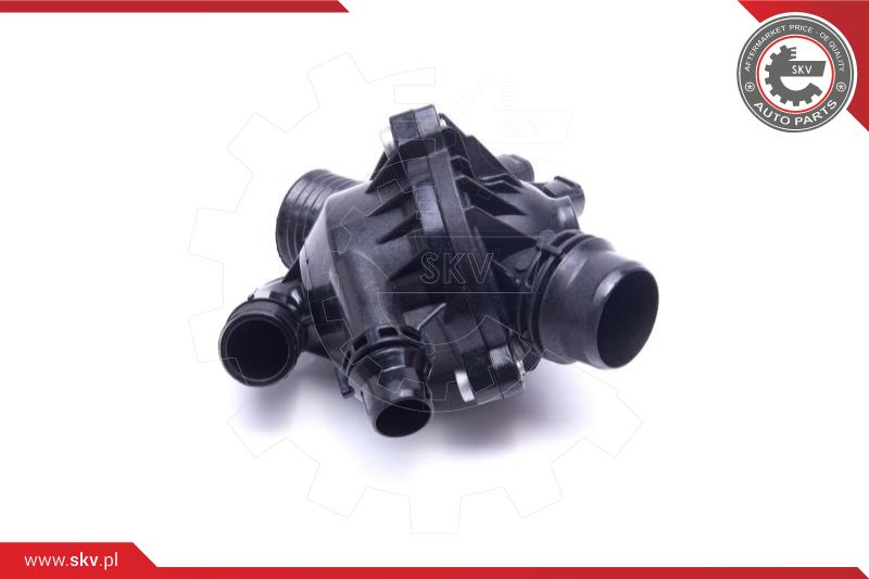 Thermostat, coolant