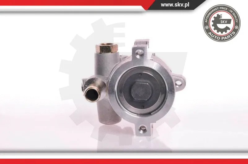 Hydraulic Pump, steering (10SKV147)