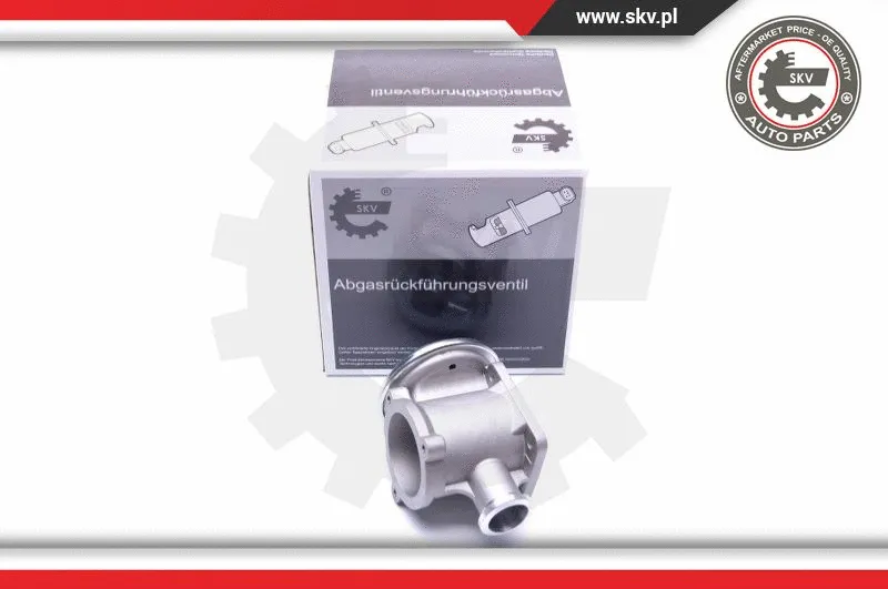 EGR Valve (14SKV177)