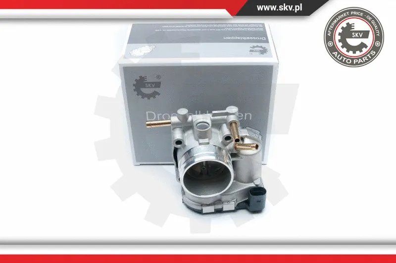 Throttle Body
