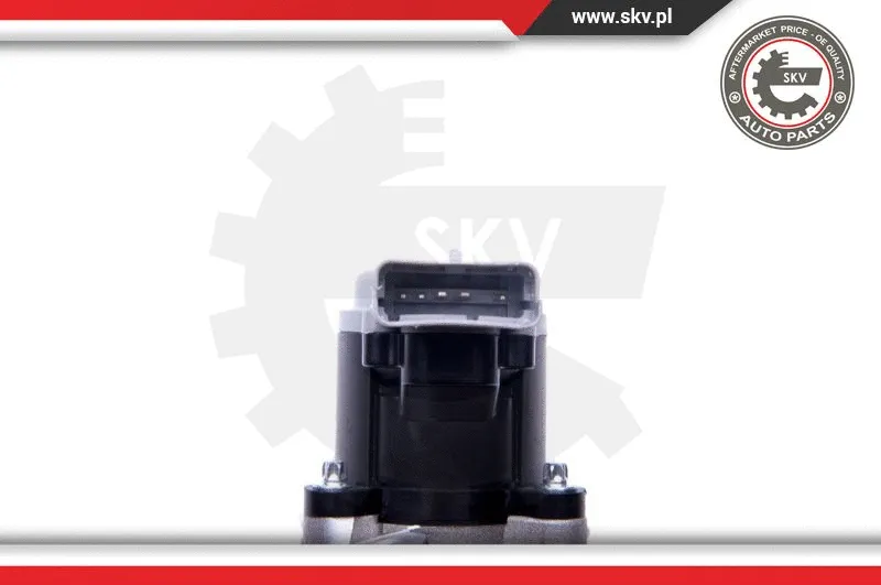 EGR Valve