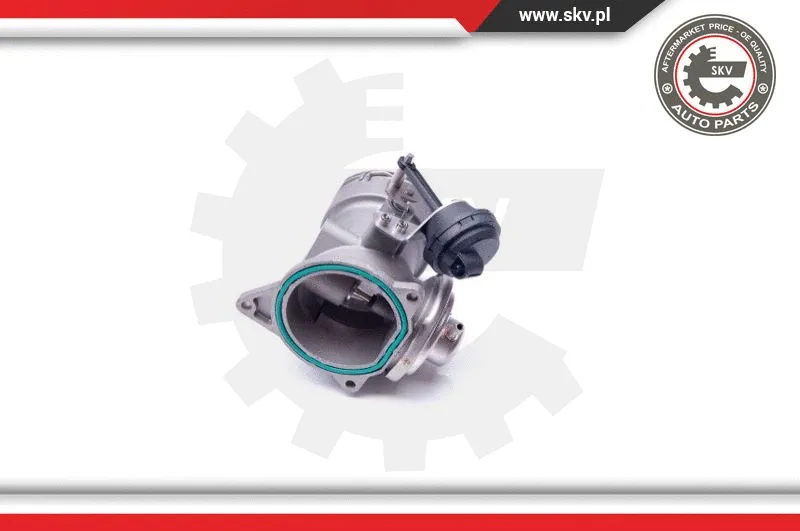 EGR Valve (14SKV093)