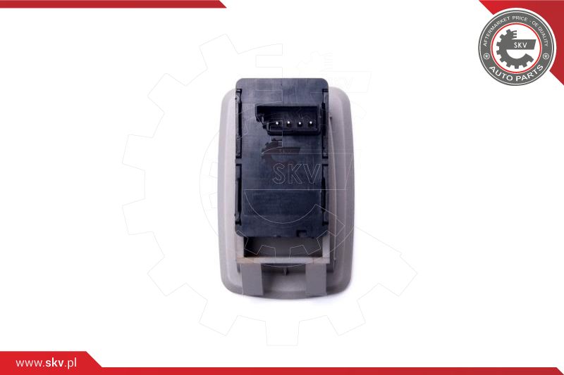 Switch, window regulator