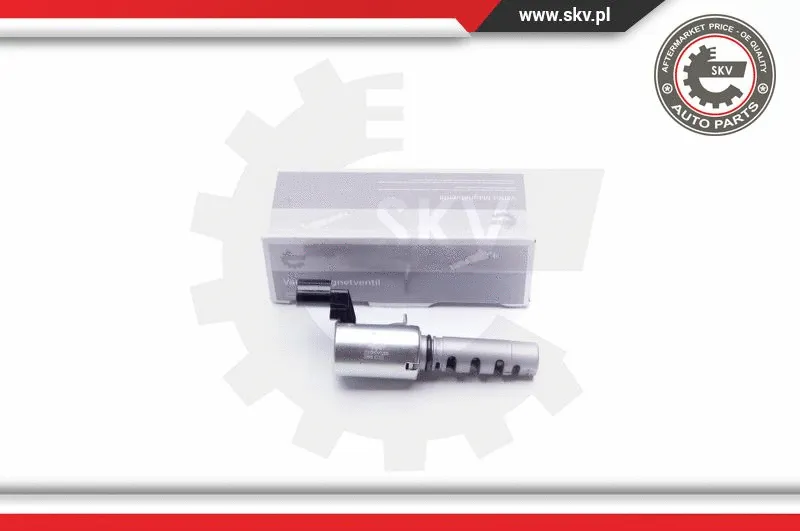 Control Valve, camshaft adjustment (39SKV028)