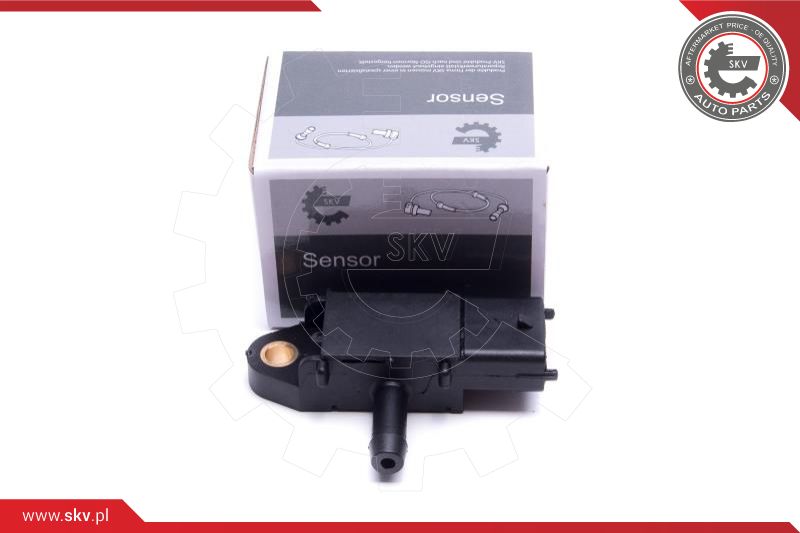Sensor, exhaust pressure (17SKV775)