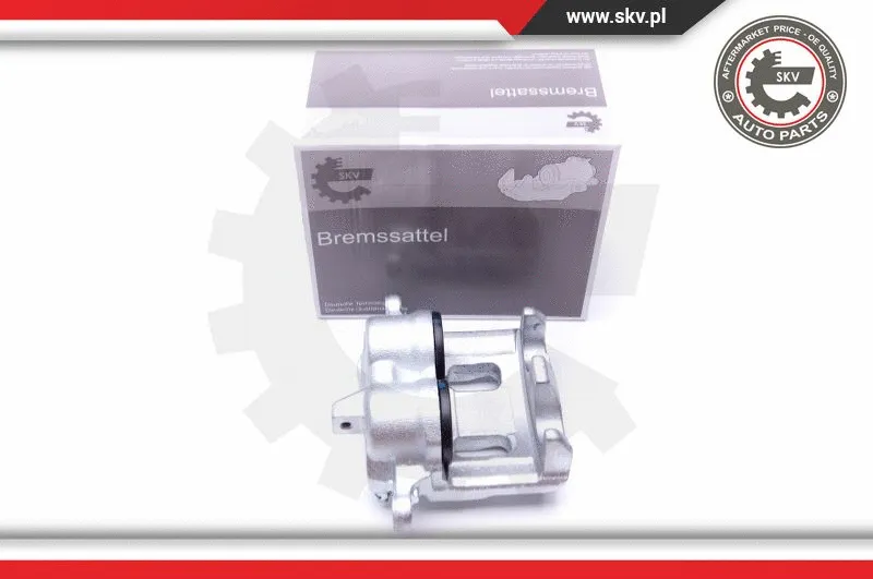Brake Caliper (44SKV232)