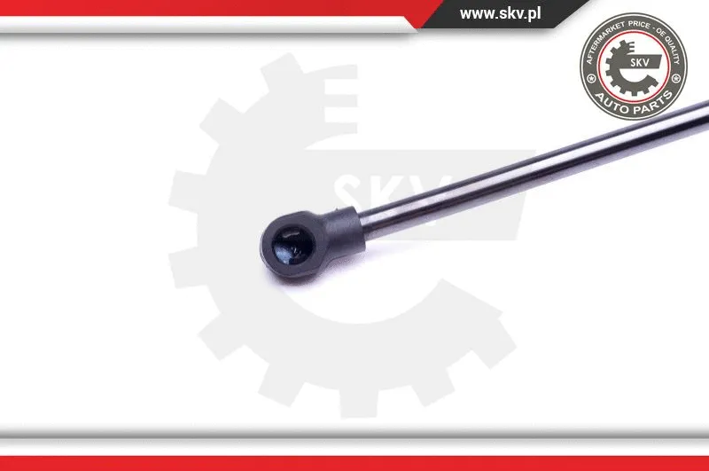 Gas Spring, boot/cargo area