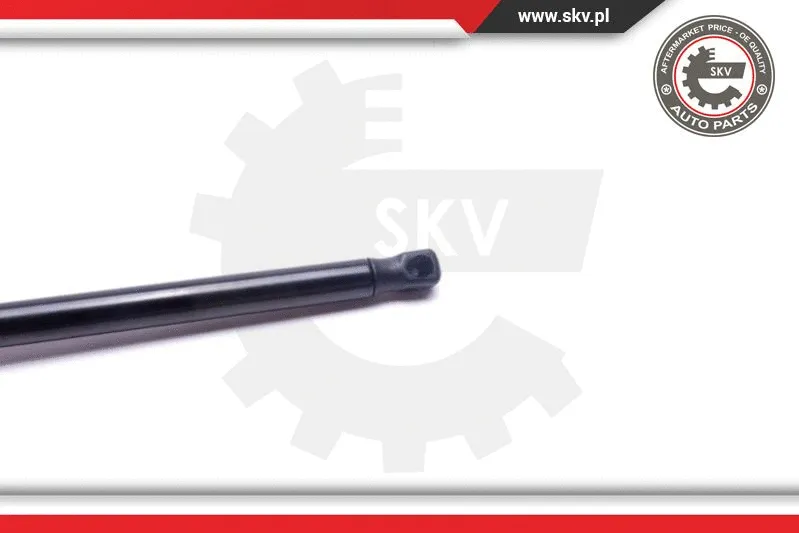 Gas Spring, boot/cargo area