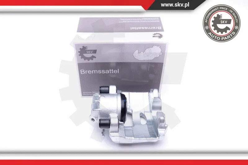 Brake Caliper (44SKV181)