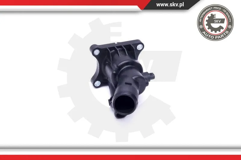 Thermostat, coolant