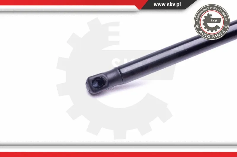 Gas Spring, boot/cargo area