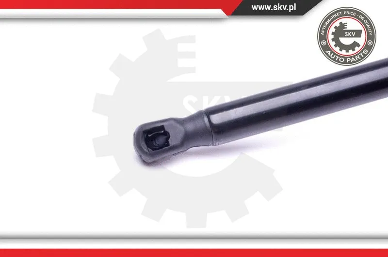 Gas Spring, boot/cargo area