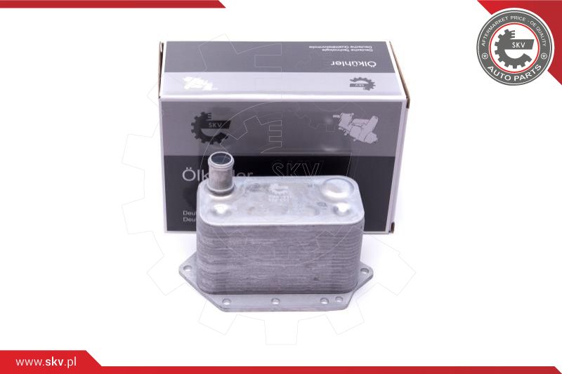 Oil Cooler, engine oil (31SKV221)