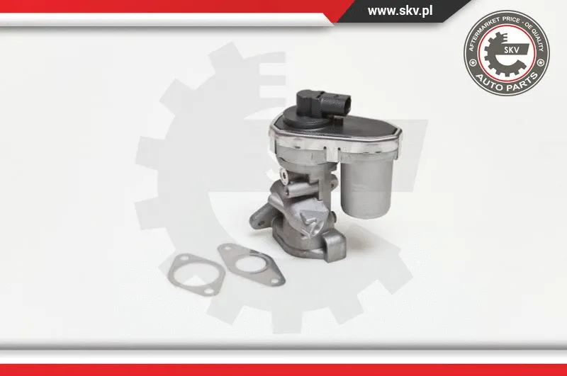 EGR Valve (14SKV038)