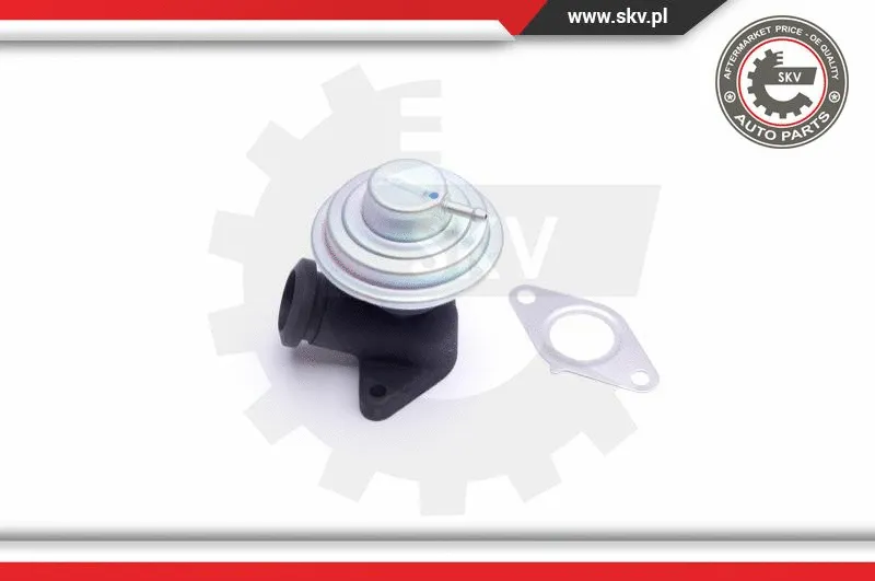 EGR Valve