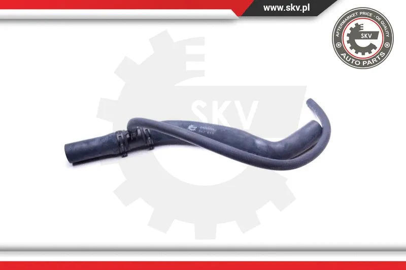 Radiator Hose (24SKV382)
