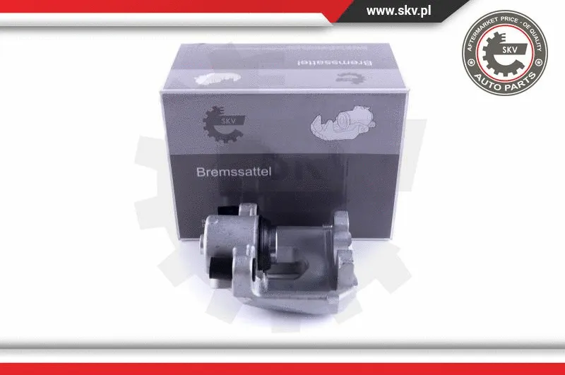 Brake Caliper (55SKV333)