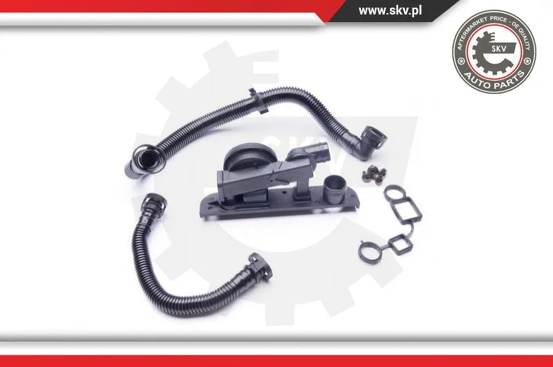 Repair Kit, crankcase ventilation (31SKV005)