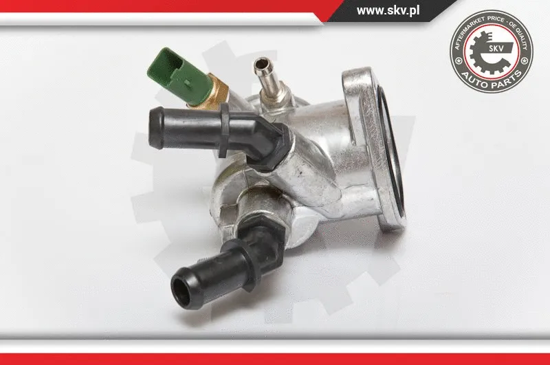 Thermostat, coolant