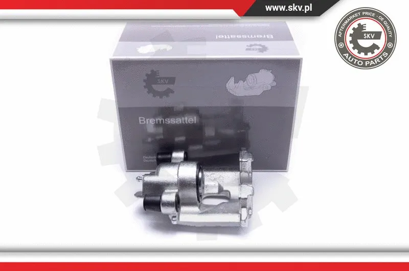 Brake Caliper (55SKV003)