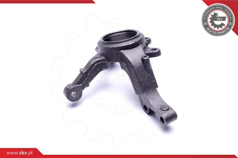 Steering Knuckle, wheel suspension