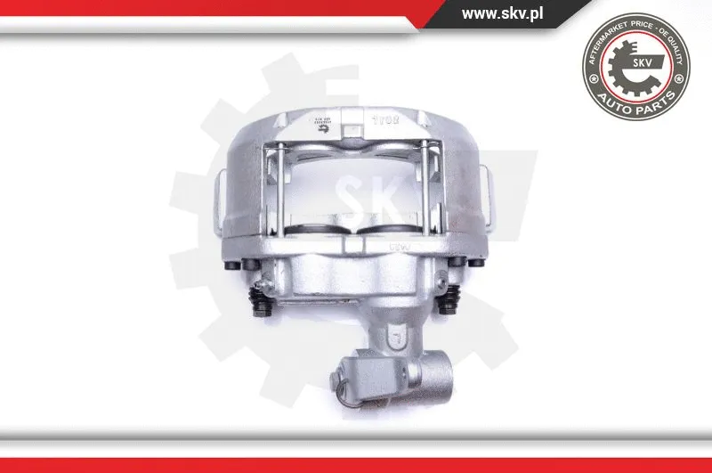 Brake Caliper (42SKV083)