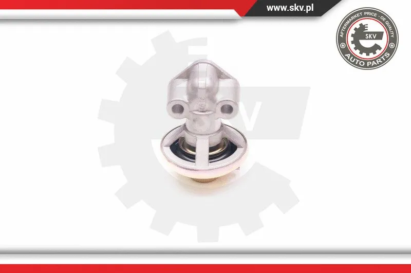 EGR Valve