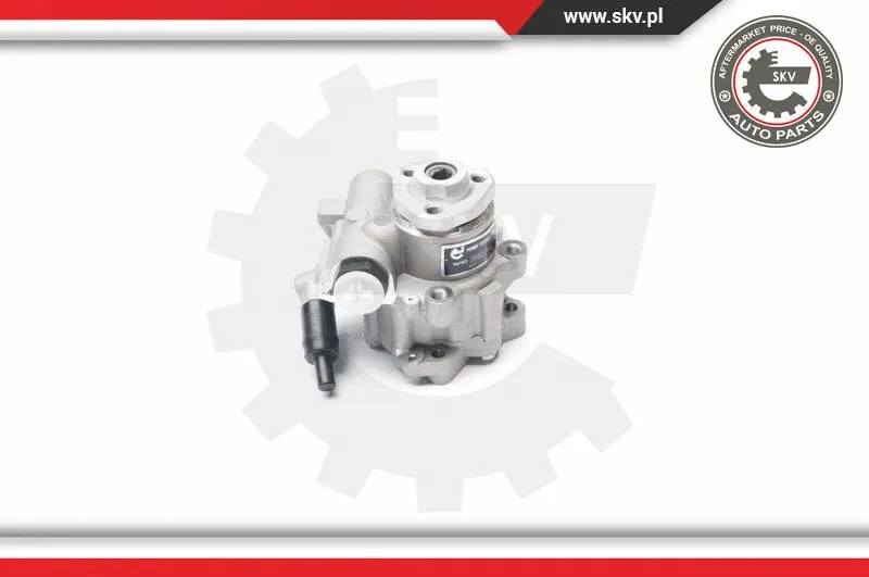Hydraulic Pump, steering (10SKV016)