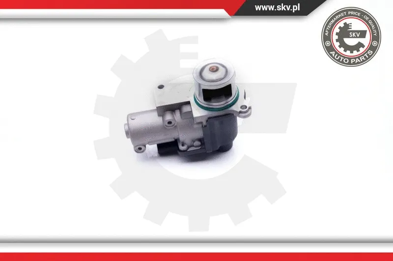 EGR Valve
