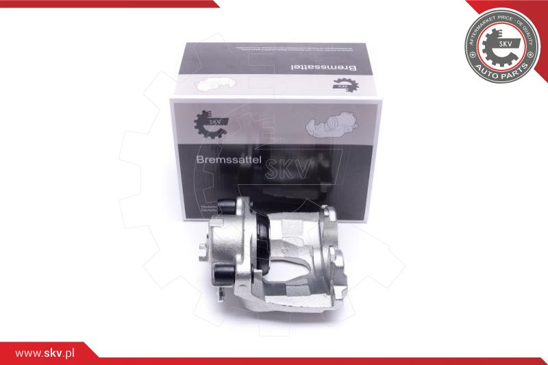 Brake Caliper (23SKV671)