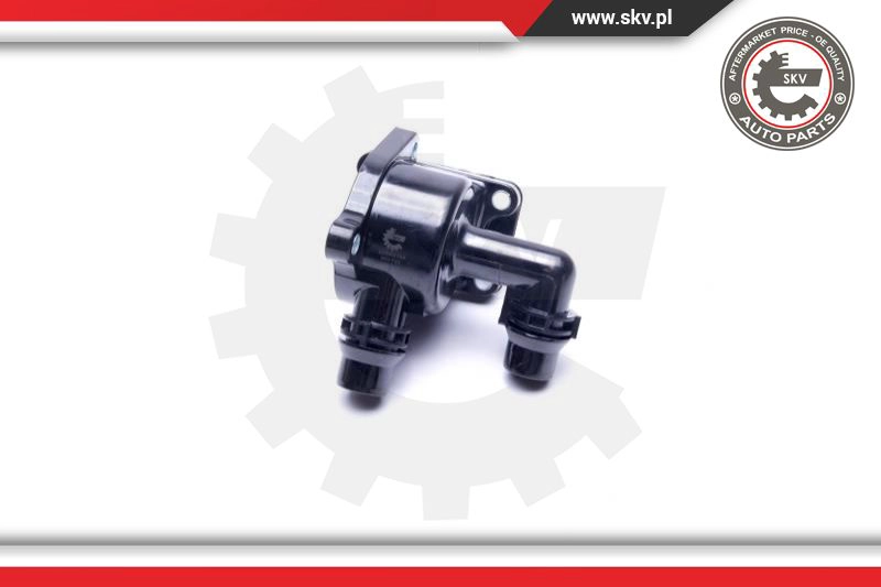 Thermostat, coolant