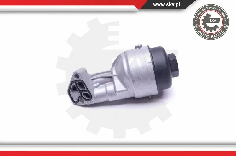 Housing, oil filter (31SKV137)