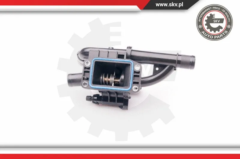 Thermostat, coolant