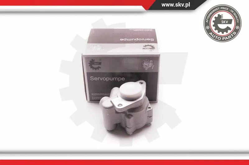 Hydraulic Pump, steering (1SKV0010)