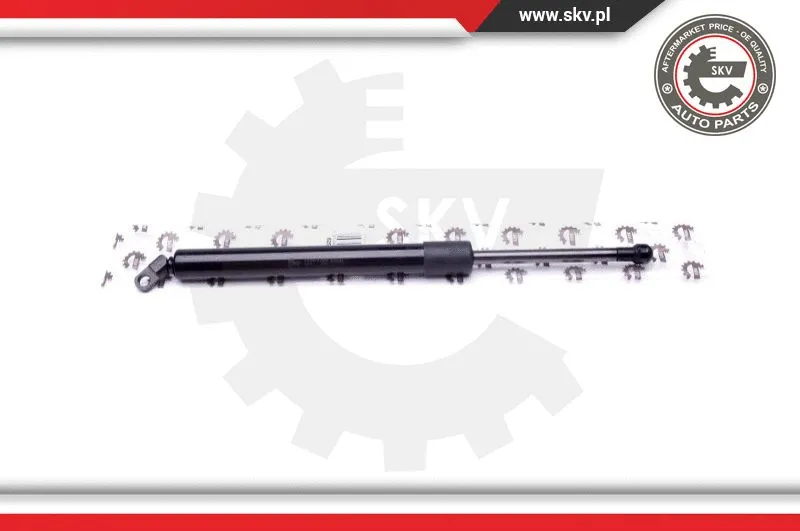 Gas Spring, boot/cargo area
