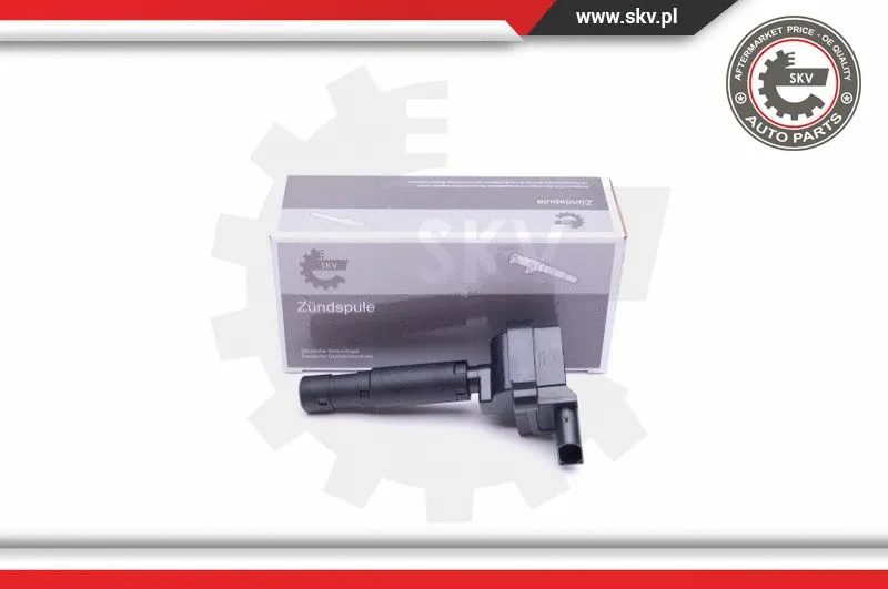 Ignition Coil (03SKV329)