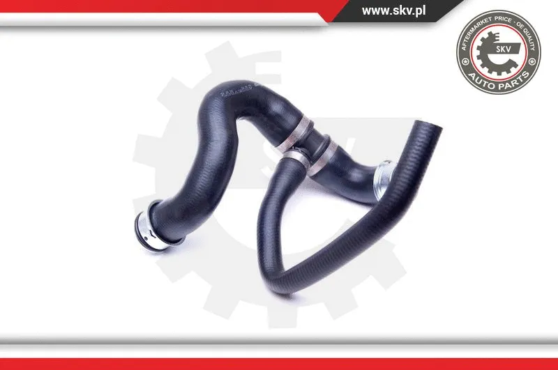 Radiator Hose